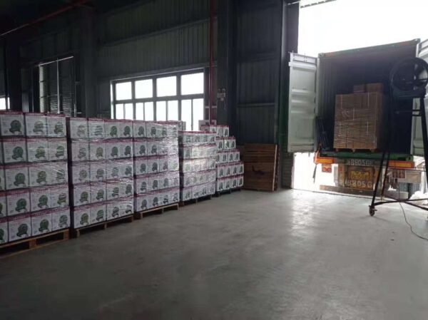 SY Centrifugal High Pressure Blower 2'' aluminum shell large wind low consumption blowing